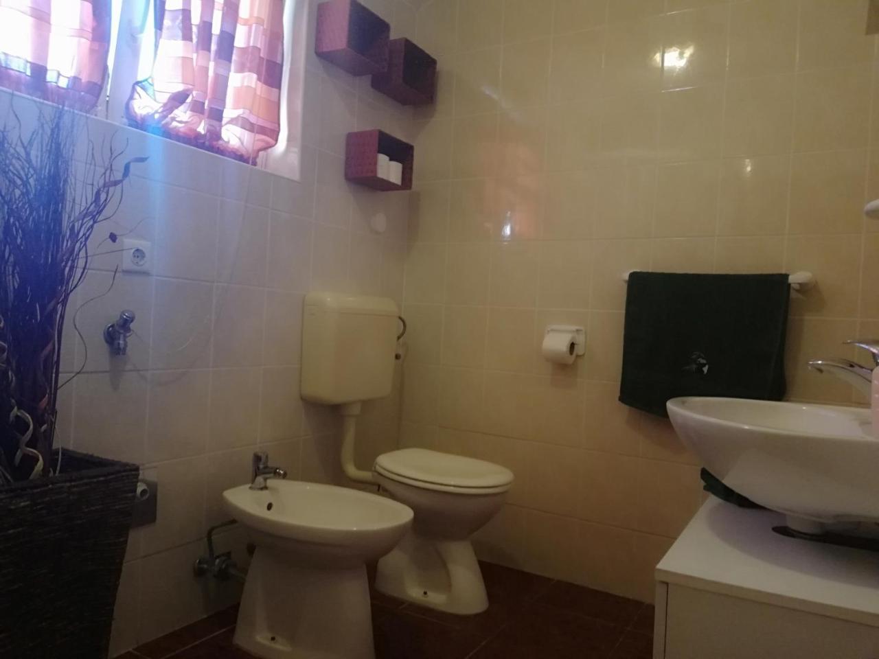 Apartment Dalmatina